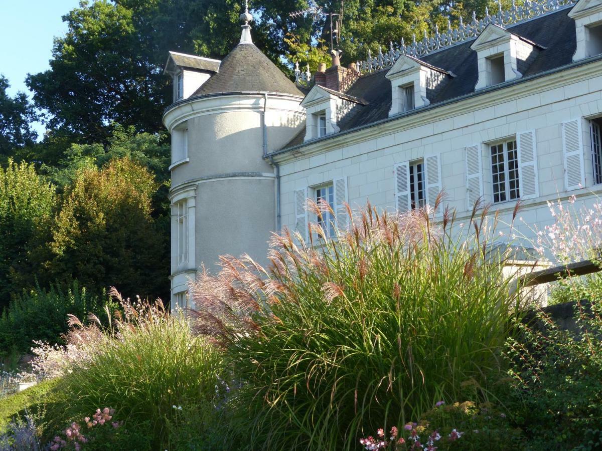 Manoir De La Vigneraie Bed & Breakfast Athee-sur-Cher Exterior photo